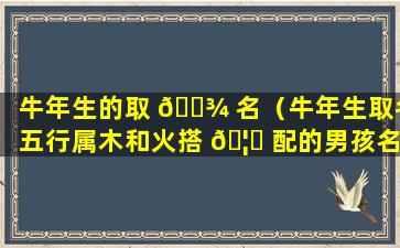 牛年生的取 🌾 名（牛年生取名五行属木和火搭 🦆 配的男孩名字）